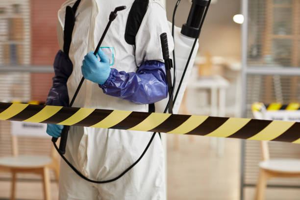 Professional Sewage Cleanup technician working in Gretna, VA
